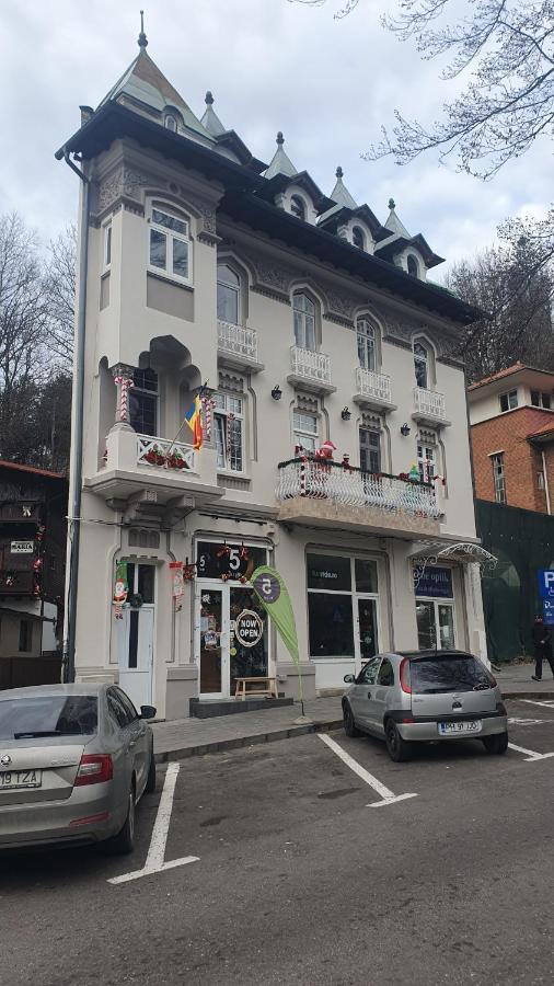Downtown Park Loft Apartamento Sinaia Exterior foto